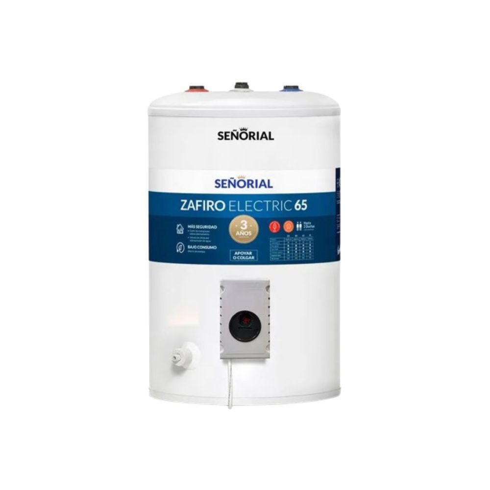 TERMO ELECTRICO C/SUP  65LTS SEÑORIAL