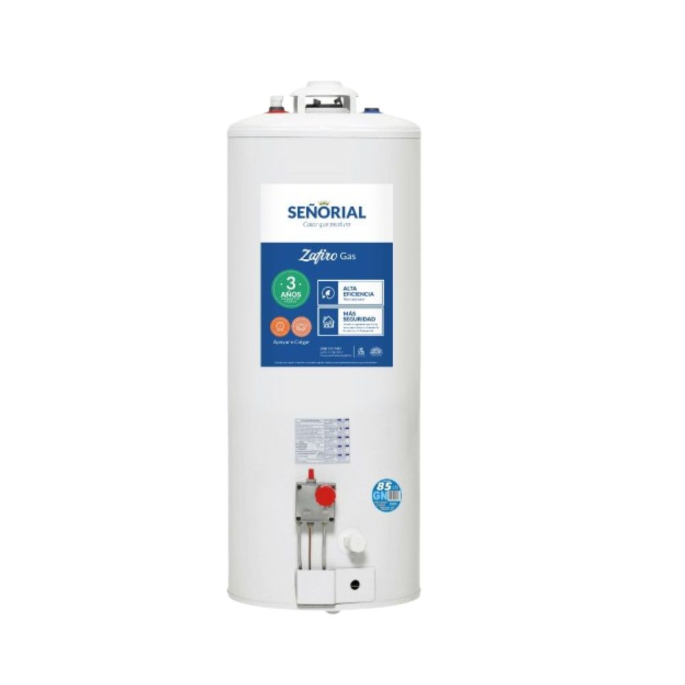 TERMO ELECTRICO C/SUP  95LTS SEÑORIAL
